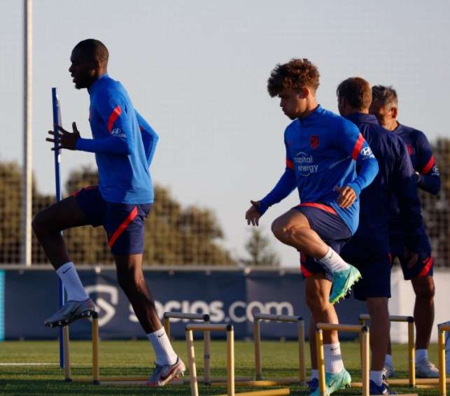 جانب من التدريات