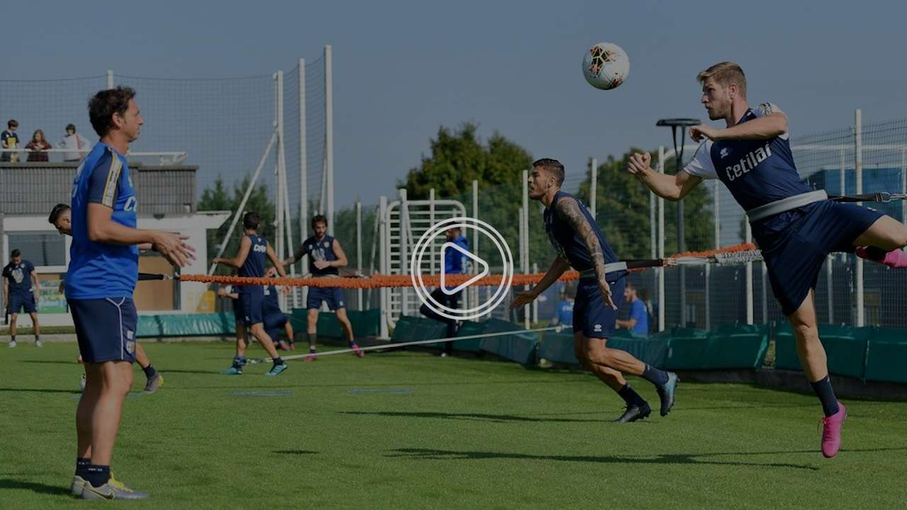 tara2ef parma new thumb 