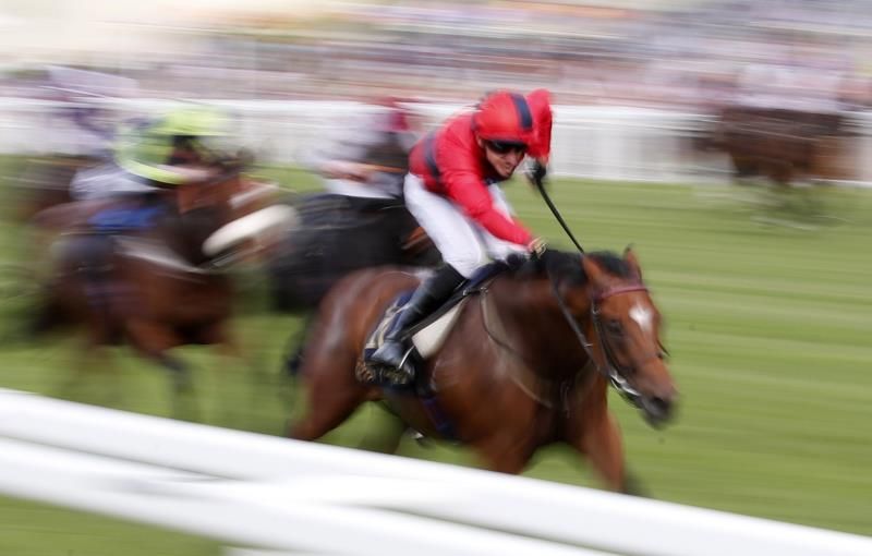 الفروسية - ارشيفية