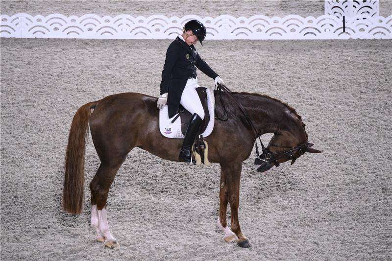 إيزابيل فيرت