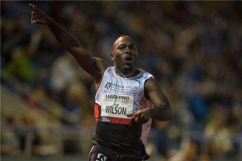 أليكس ويلسون