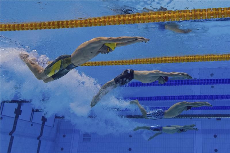 منافسات السباحة