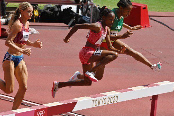  وينفرد يافي