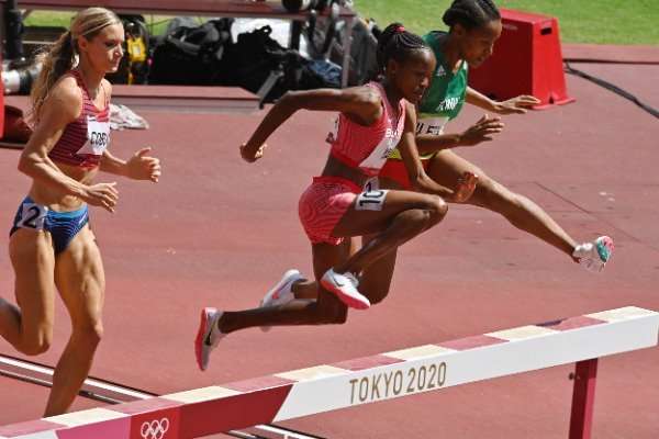  وينفرد يافي