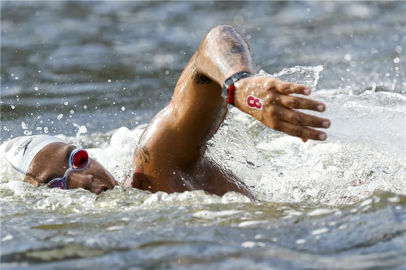 آنا مارسيلا كونيا 