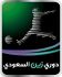 zain_saudi_professional_2009