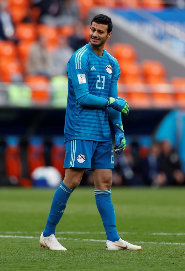 محمد الشناوي