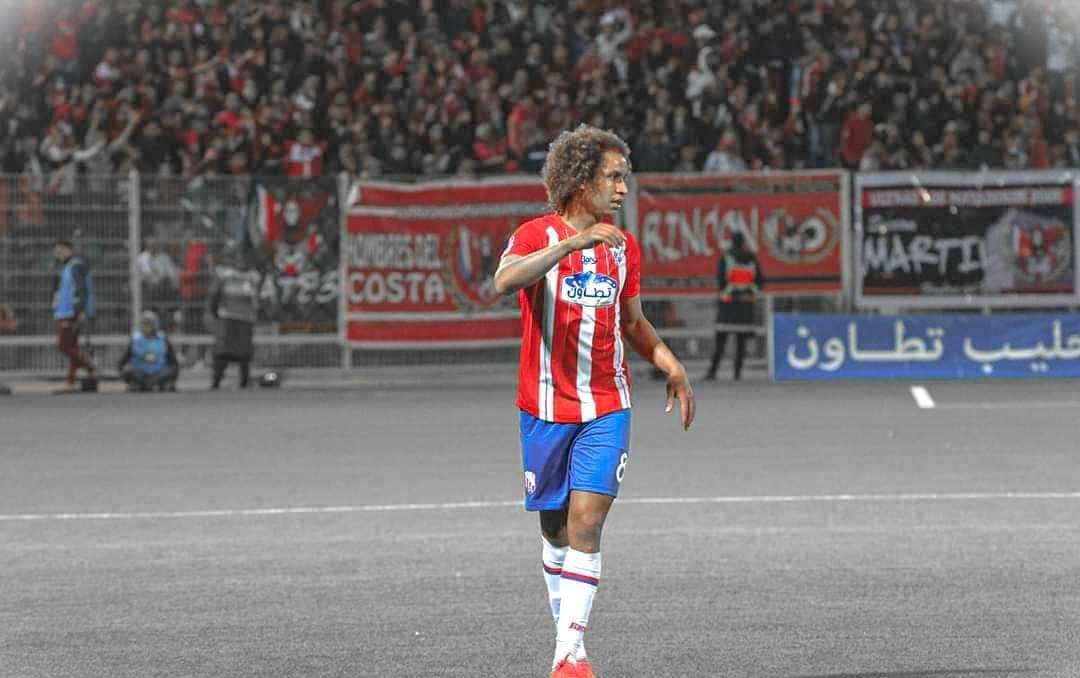 توفيق الصفصافي