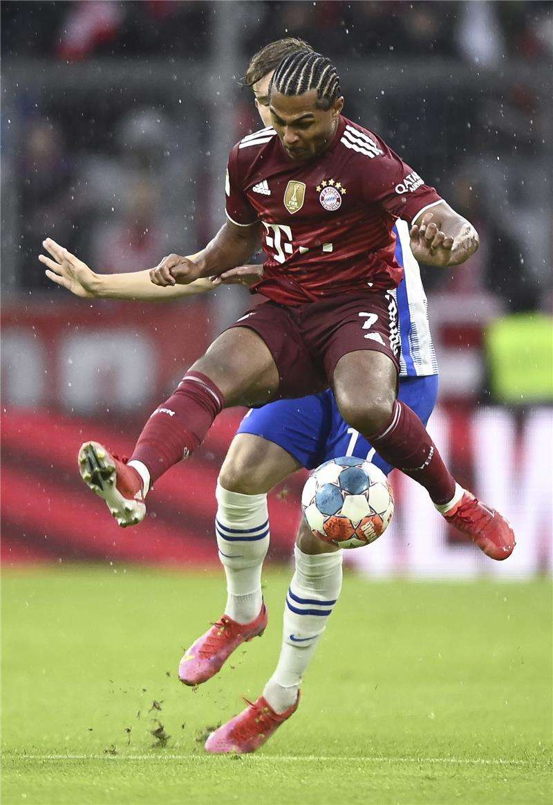  دايفي سيلكه