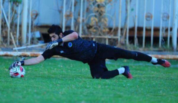 دولفان مهدي