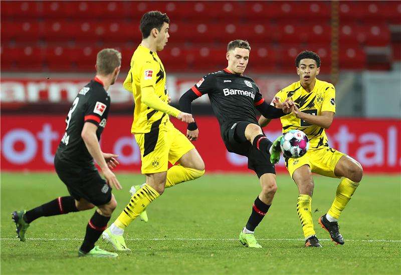 بيلينجهام ورينا