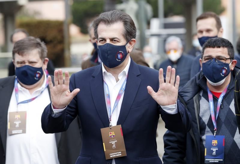 توني فريسكا