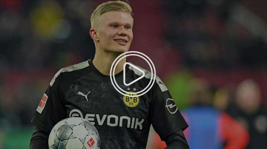 إيرلينج هالاند