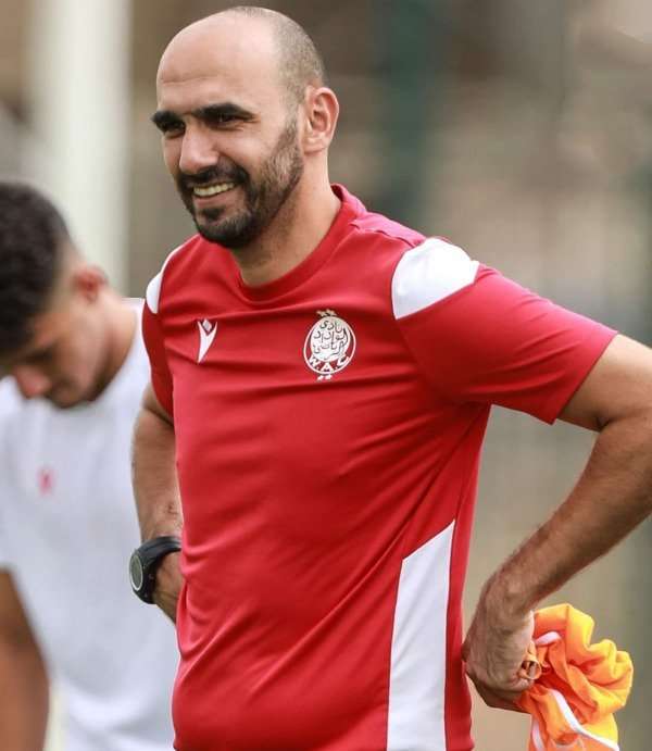 وليد الركراكي مدرب الوداد