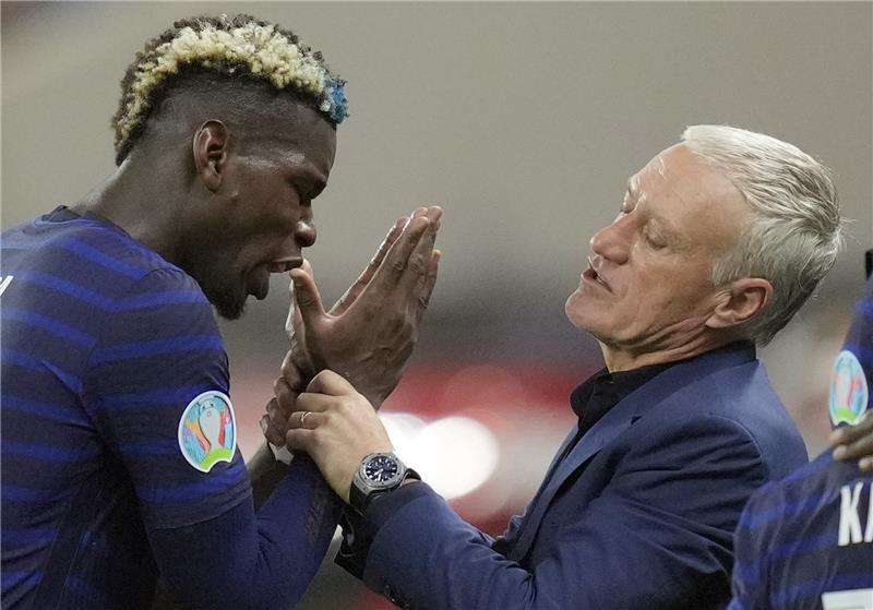 بوجبا وديشامب