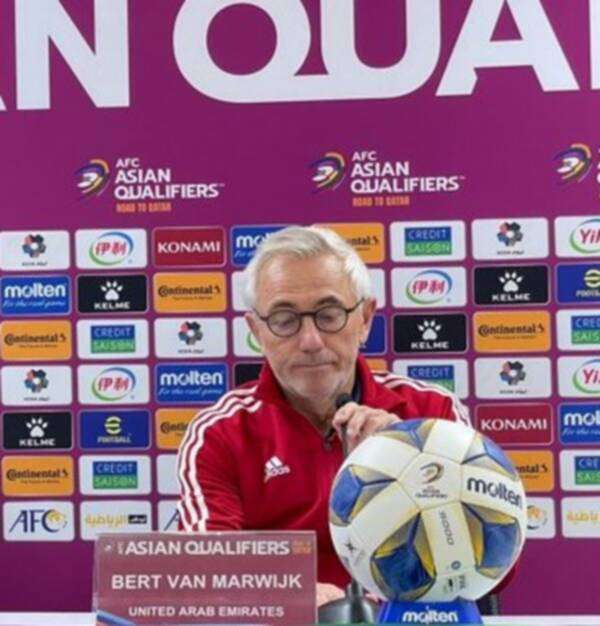 بيرت فان مارفيك