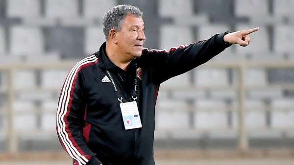 هينك تين كات