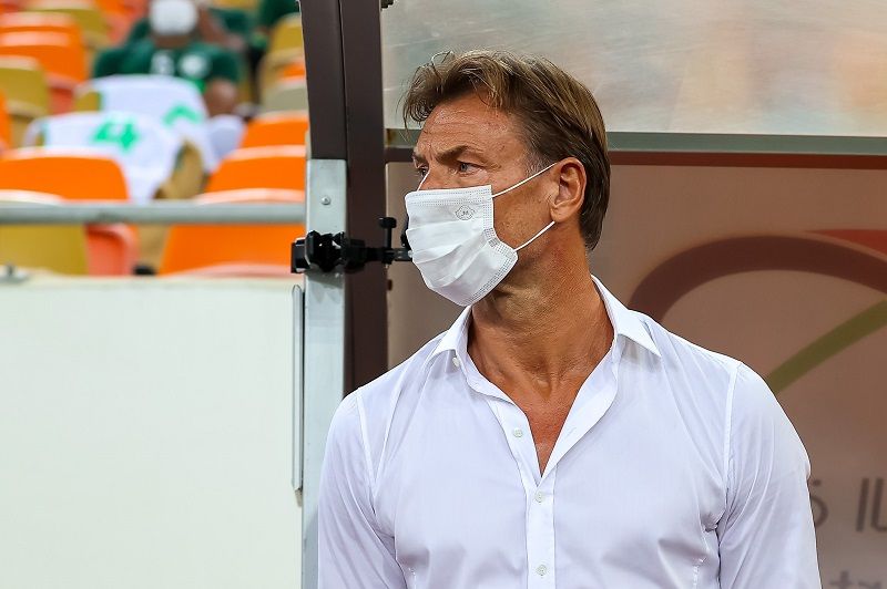 هيرفي رينارد 