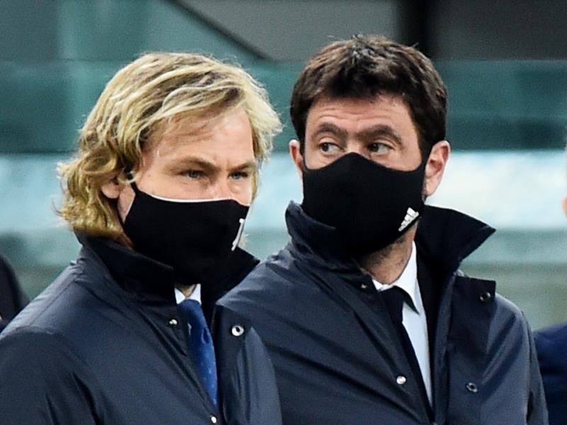 بافيل نيدفيد