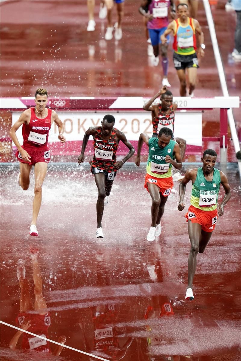 أرشيفية