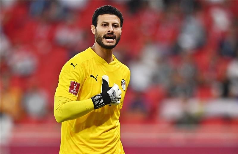 محمد الشناوي