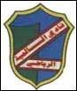 salm