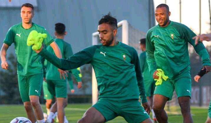 محمد الشيبي 