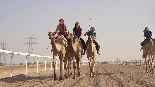 أرشيفية