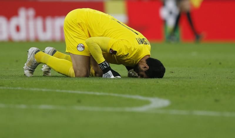 محمد الشناوي