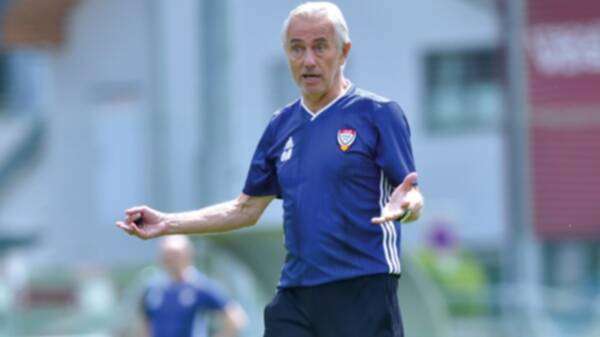 بيرت فان مارفيك