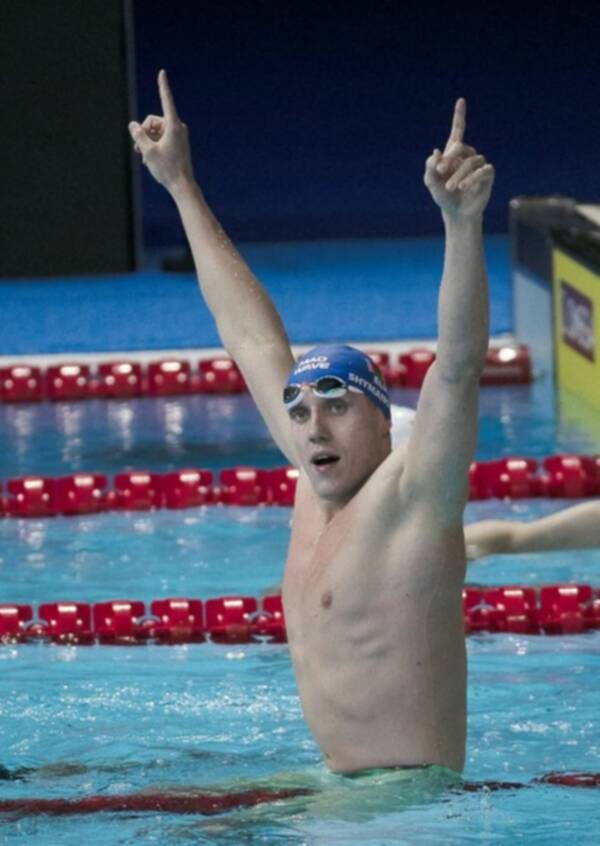 شايمانوفيتش 