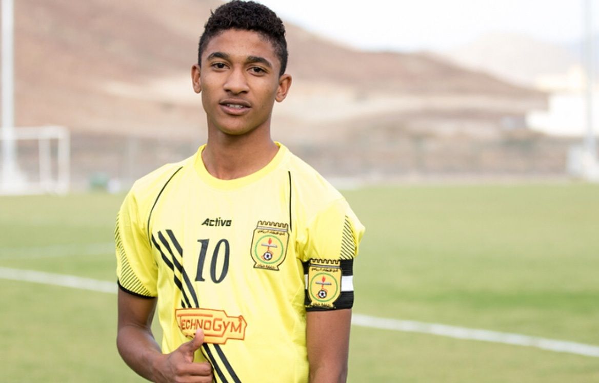 النورس الفارسي 