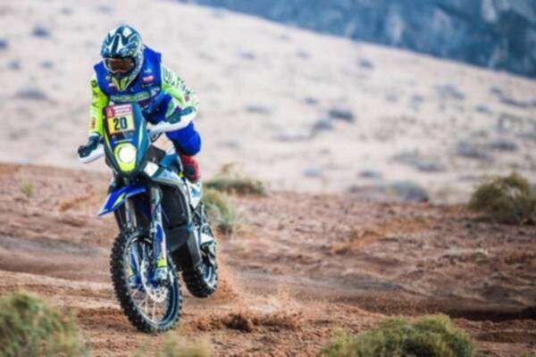 ناصر العطية