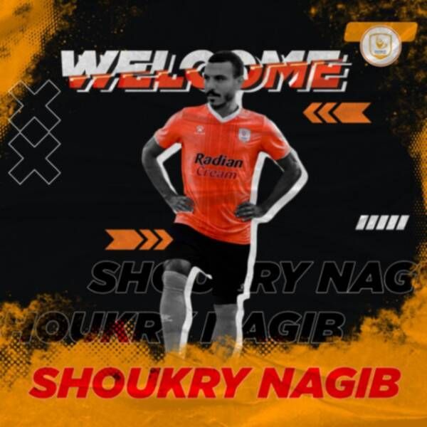 شكري نجيب