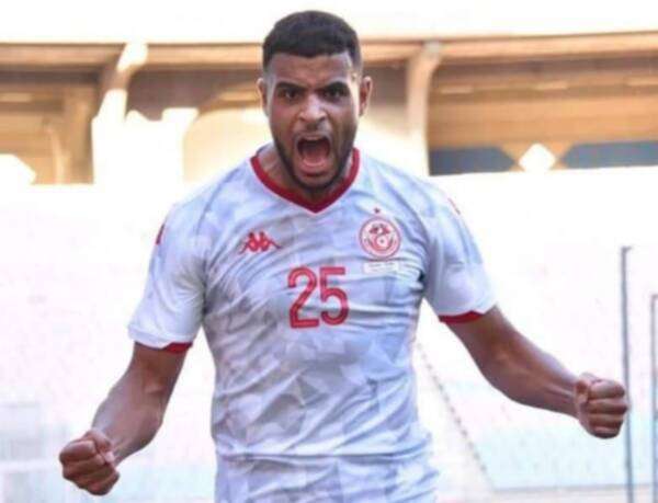 أنيس بن سليمان