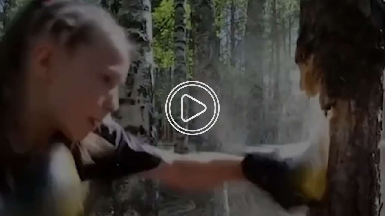 0cf3d210-22ae-47b2-ab51-dc8a285c7eb5