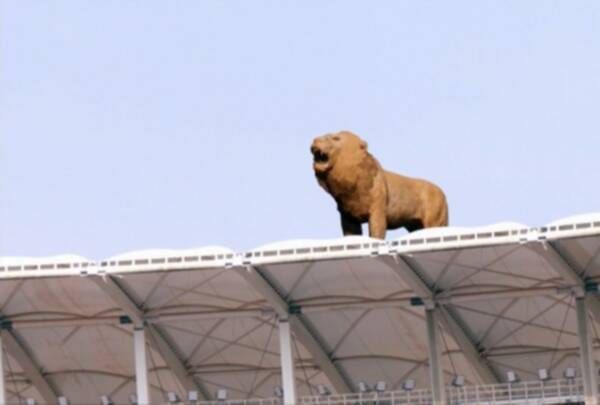 من الافتتاح