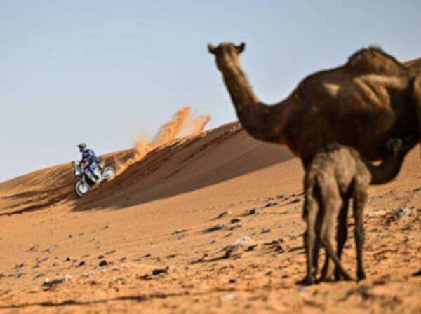 من المنافسات