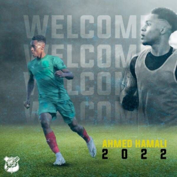 أحمد الهمالي