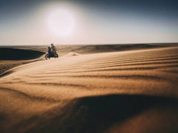 من منافسات اليوم