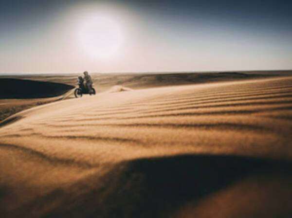 من منافسات اليوم