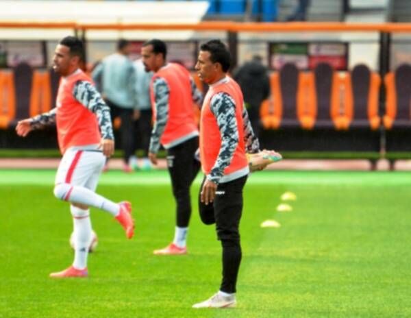 محمد عبد الشافي