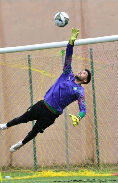 منير المحمدي