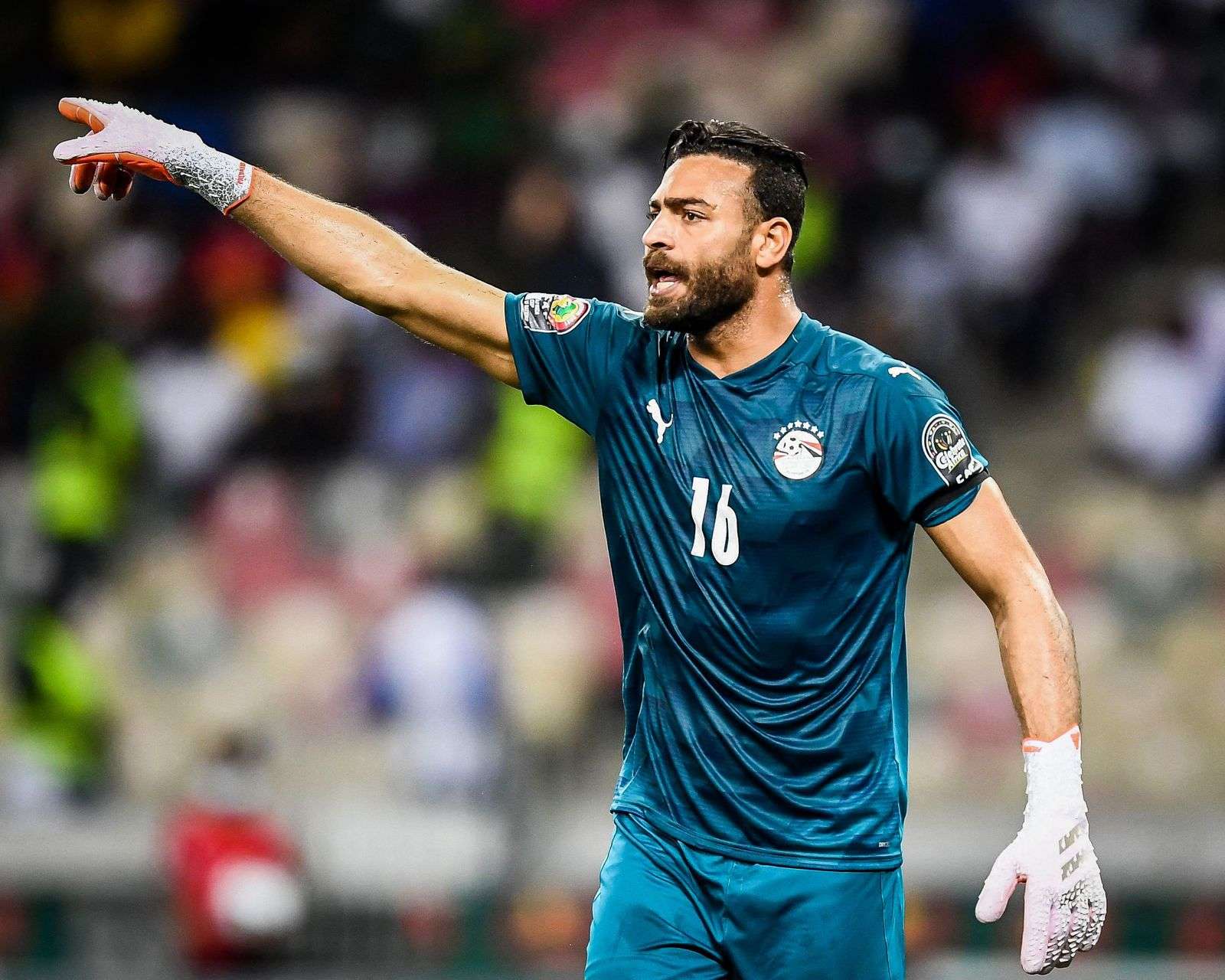 محمد أبوجبل