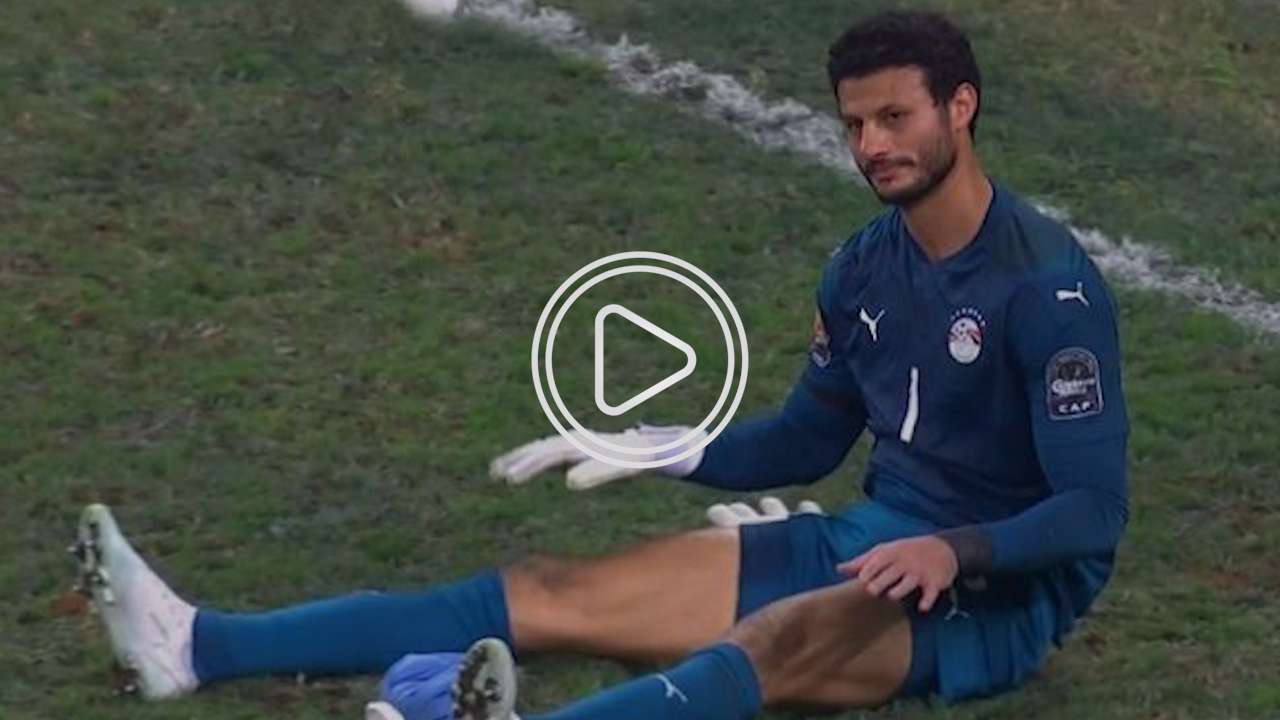 محمد الشناوي