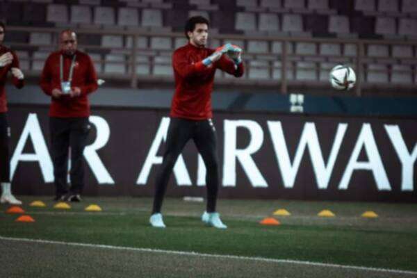 مصطفى شوبير