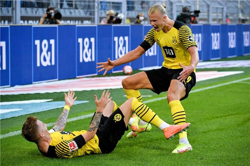 رويس وهالاند