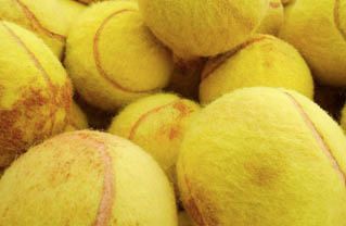 chewed-tennis-ball