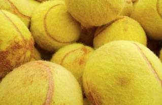 chewed-tennis-ball