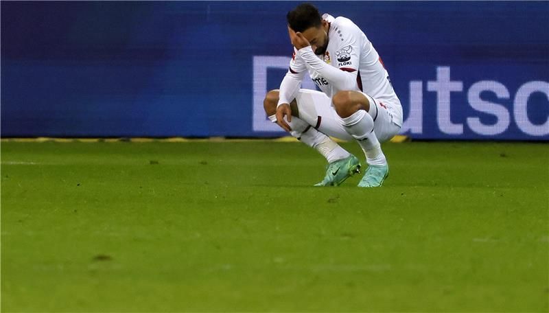 كريم بلعربي